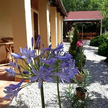 Aranyhal Vendeghaz