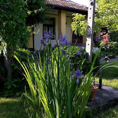 Apartamento Aranyhal Poroszló