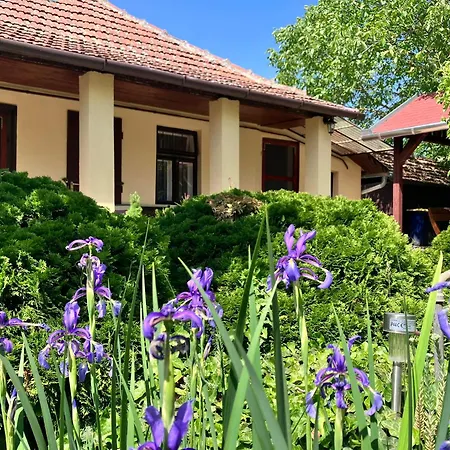 Apartamento Aranyhal *