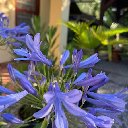 Aranyhal Apartamento